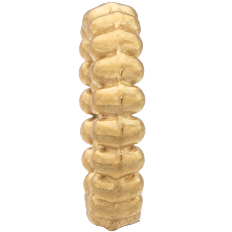 SPC_MT_037|thumb