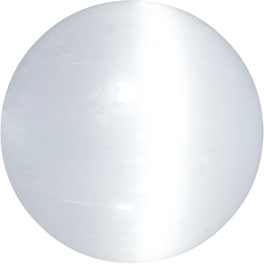CTE_WH_001|thumb