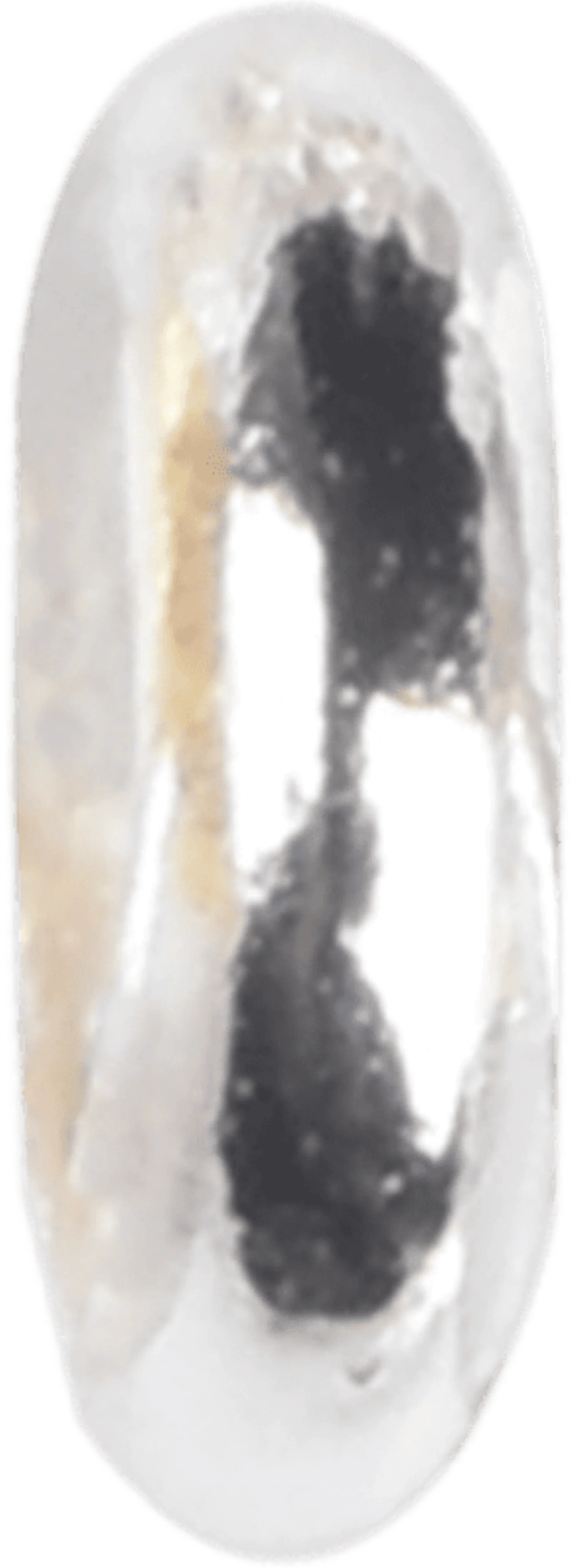 SPC_GY_001|studio|0
