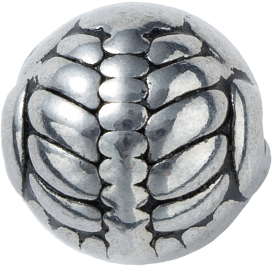 SPC_MT_025|thumb